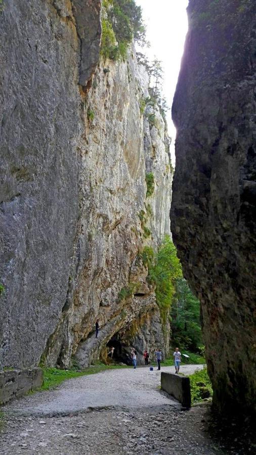 公寓 Panoramic