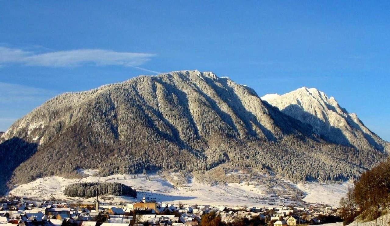 Panoramic Zărneşti