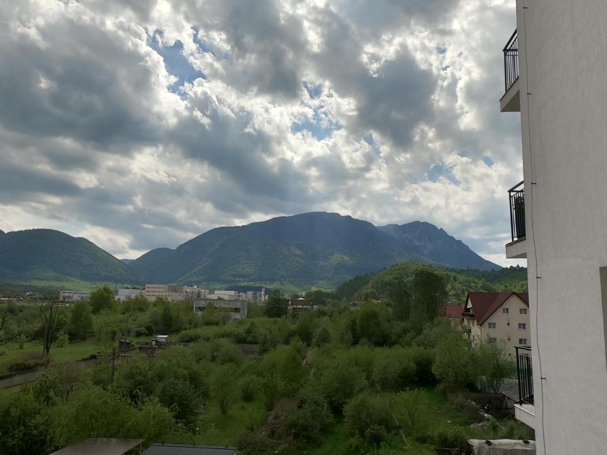 Panoramic Zărneşti