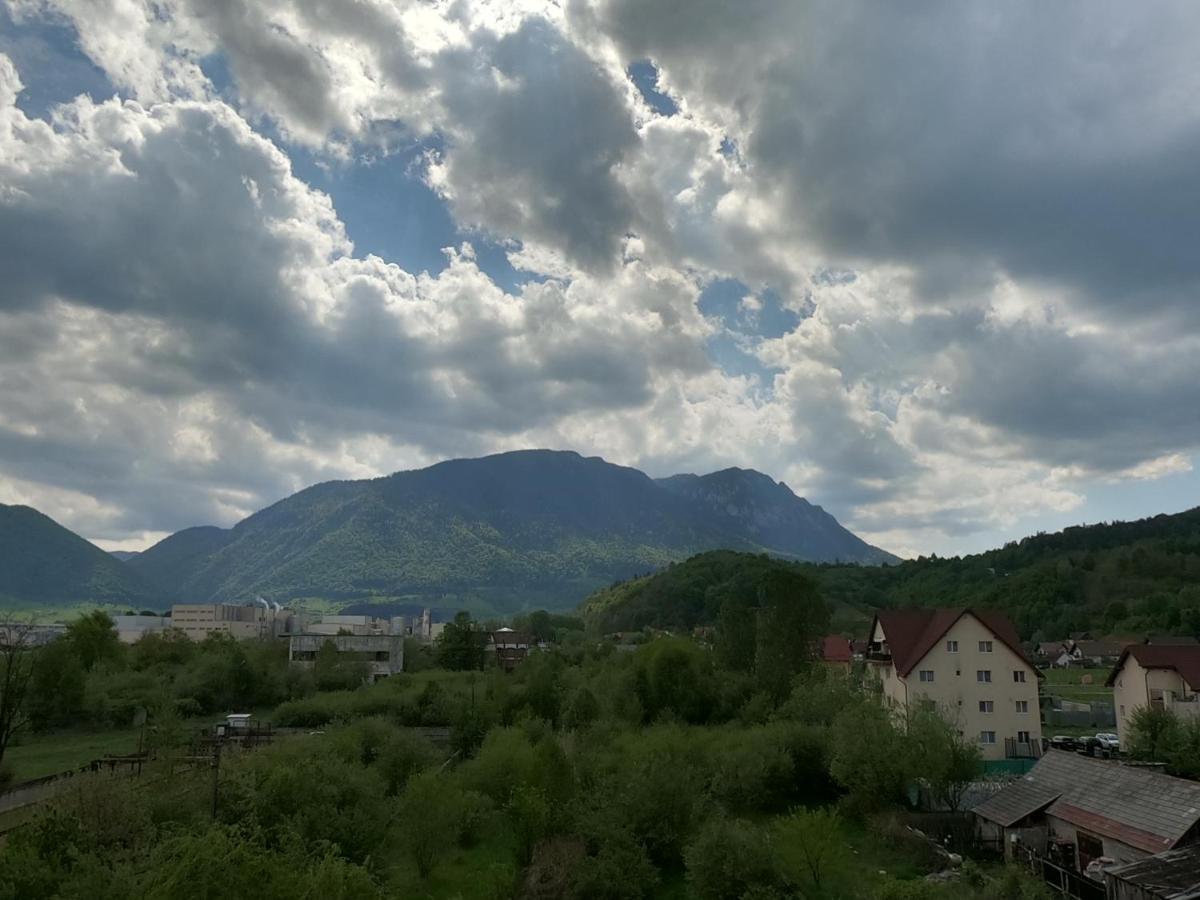 Panoramic *